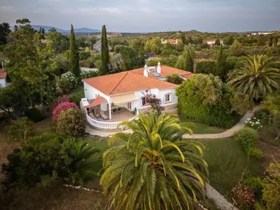 an aerial view of a house with a palm tree at Villa Fillmare in Lagos