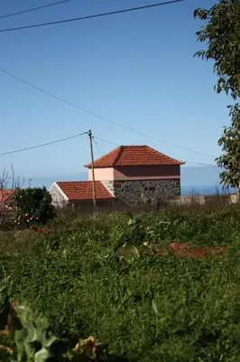 a house sitting on top of a lush green field at Raposeira Country House in Calheta