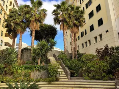 a palm tree in front of a building at Superior Rentals - Beachfront Penthouse in Funchal
