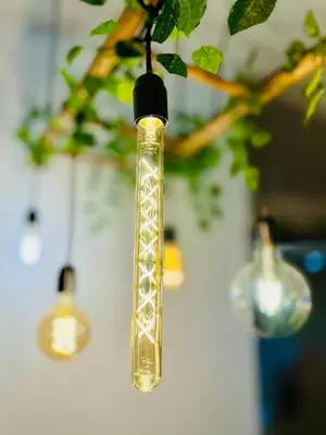 a glass bottle hanging from a plant with lights at Cantinho das Pedras in Funchal