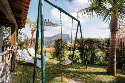 a swing set in a yard with a palm tree at Casa do Faial in Santana