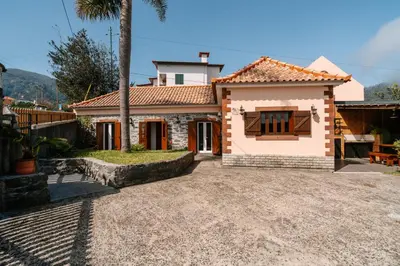 a house with a palm tree in front of it at Casa do Faial in Santana