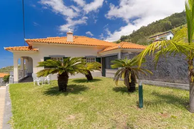 a house with two palm trees in front of it at Familia Teixeira House by AH in Arco da Calheta