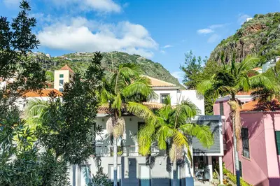 a building with palm trees in front of a mountain at Visconde Apartment in Ribeira Brava