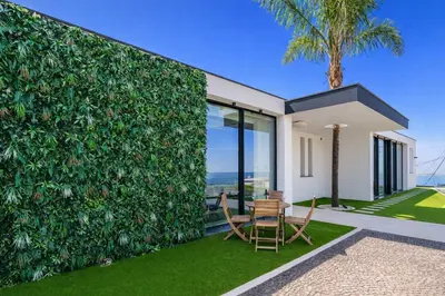 an aerial view of a house with a palm tree at Vincents Place I Ocean View I Swimming pool in Estreito da Calheta