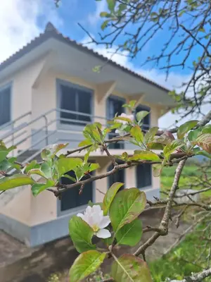 a bedroom with a bed with three pictures on the wall at Villa Correia - Ribeiro Frio in São Roque do Faial