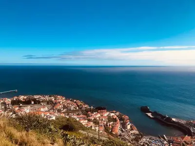 an aerial view of a town next to the ocean at Vila Pico da Torre Apartment in Câmara de Lobos