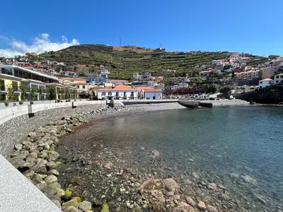 a view of a river with a town in the background at Vila Pico da Torre Apartment in Câmara de Lobos