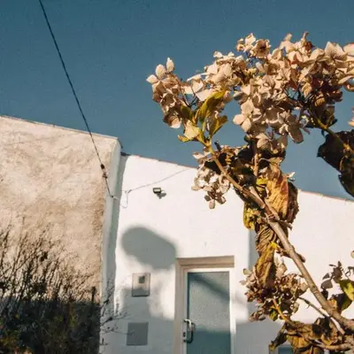 Casa da Figueira - Guest House
