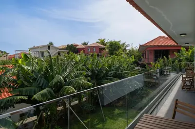 a balcony of a house with a bunch of plants at Germana House by An Island Apart in Ponta do Sol
