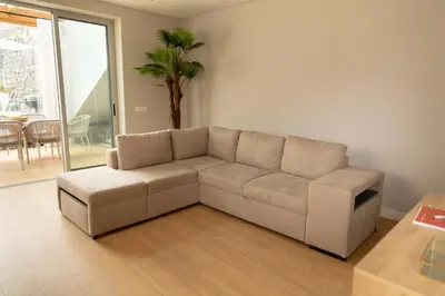 a living room with a couch and a palm tree at HOMELIKE FUNCHAL I in Funchal
