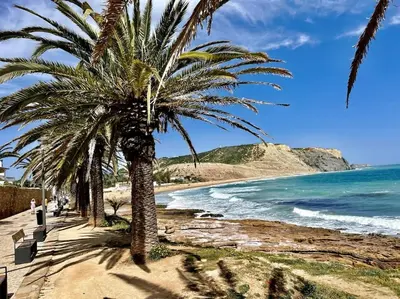 a palm tree on a sandy beach next to the ocean at Hibisco is a modern apartment, 5min walk to beach in Luz