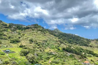 a grassy hill with houses on it at Sal e Pimenta House - A Wellbeing Retreat in Machico