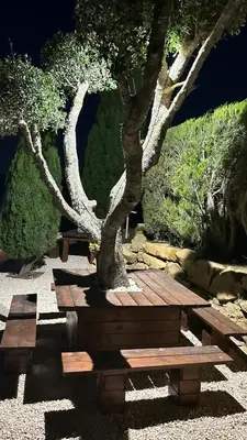 two wooden benches sitting next to a tree at Eco Natura Falcoeira - Praia da Luz in Montinhos da Luz