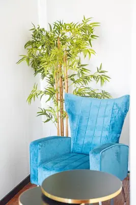 a blue chair with a table in front of a plant at Lighthouse view- POOL VILLA in Porto Moniz