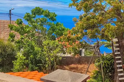 a view of a garden with an orange bench and trees at Typical Farm Apartment in Arco da Calheta