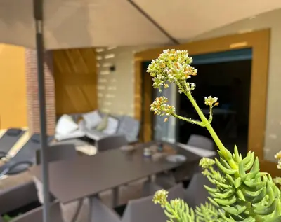 a plant in a room with a table and chairs at No14 Lote B, Quinta da Belavista in Luz
