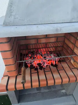 a group of birds sitting on a rack in a fireplace at Villa Do Calo in Sagres