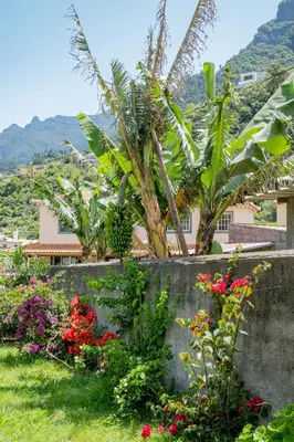 a garden with flowers and plants in front of a house at São Vicente Guest House in São Vicente