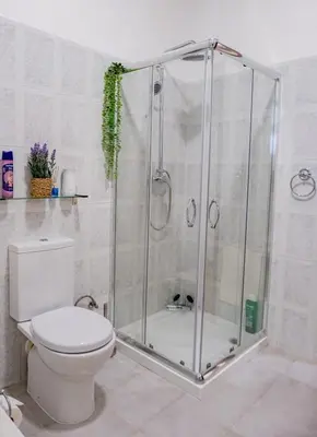 a bathroom with a shower and a toilet at São Vicente Guest House in São Vicente