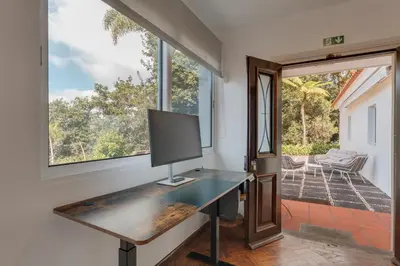 a tv on a desk in a room with a window at Villa Natural Oasis with panoramic view & bio-diverse 9 950m2 garden in Funchal