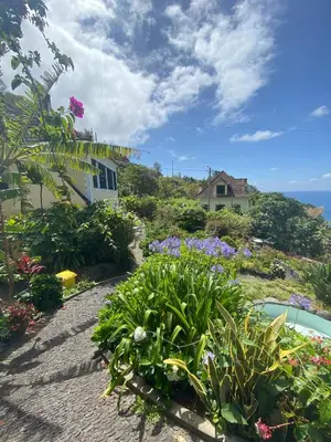 a garden with flowers and a house on a hill at Quinta das Hortênsias in Arco de São Jorge