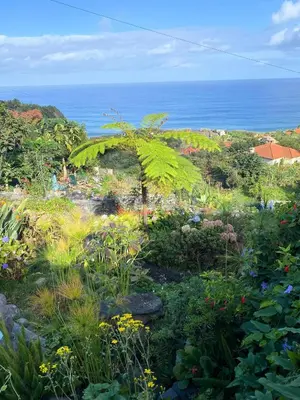 a garden with flowers and the ocean in the background at Quinta das Hortênsias in Arco de São Jorge