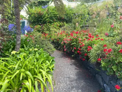 a garden with red and purple flowers and plants at Quinta das Hortênsias in Arco de São Jorge