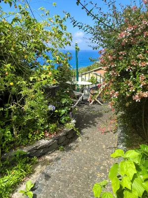 a garden path with flowers and a table in the background at Quinta das Hortênsias in Arco de São Jorge