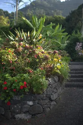 a stone wall with flowers in a garden at Quinta das Hortênsias in Arco de São Jorge