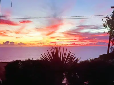 a sunset over the ocean with a palm tree at Gertrudes Dream House in Ponta do Sol