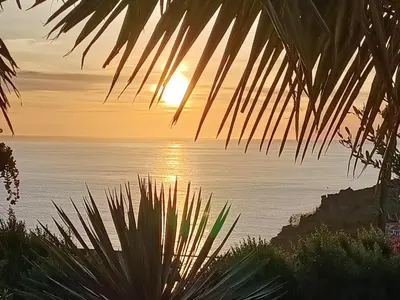 a sunset over the ocean with a palm tree at Gertrudes Dream House in Ponta do Sol