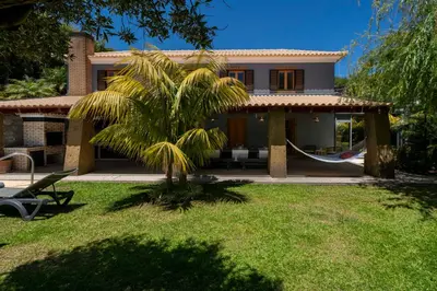 a house with a palm tree in front of it at Vila Esperança by An Island Apart in Calheta