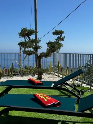two ping pong paddles are sitting on a table at Quinta da Oliveira in Ponta do Sol