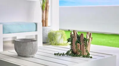 a white table with a cactus on top of it at Casa do Pico by Casas dos Lebre in Porto Santo