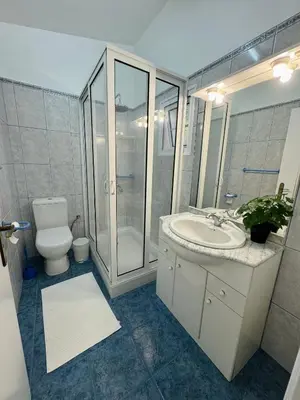 a bathroom with a toilet and a sink and a shower at Arco Apartment in Arco da Calheta