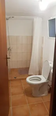 a bathroom with a toilet with a shower curtain at Casa Gama in Ribeira da Janela