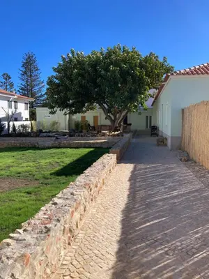 a stone path in front of a house with a tree at Casa Pompilio in Sagres