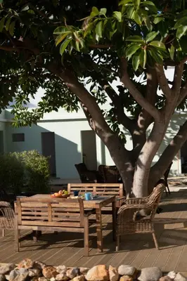 a wooden table and bench next to a tree at Casa Pompilio in Sagres