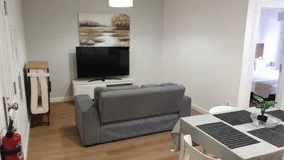 a living room with a couch and a flat screen tv at RC Flats Funchal D in Funchal