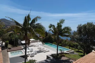an aerial view of a resort with a swimming pool and palm trees at OurMadeira - Bellissima in Estreito da Calheta