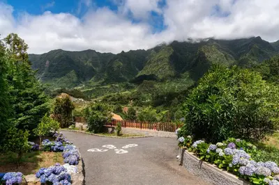 a winding road with flowers and mountains in the background at OurMadeira - Casa Hortensia in Senhora do Rosário