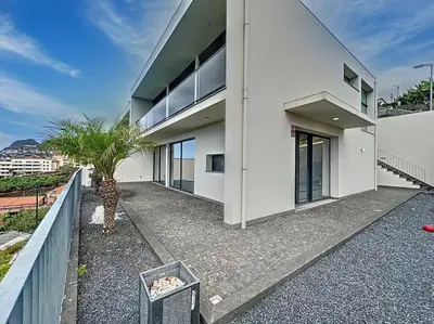 a white building with a palm tree in front of it at Villa Ribeiro Real 12 A in Câmara de Lobos