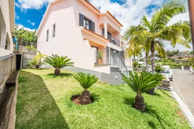 a house with palm trees in front of it at Atlantic Ocean Breeze in Ponta do Sol