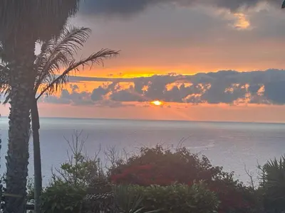 a sunset over the ocean with a palm tree at Bela Vigia in Jardim do Mar