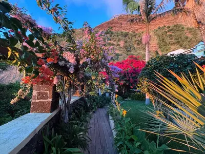 a garden with colorful flowers and a pathway at Bela Vigia in Jardim do Mar