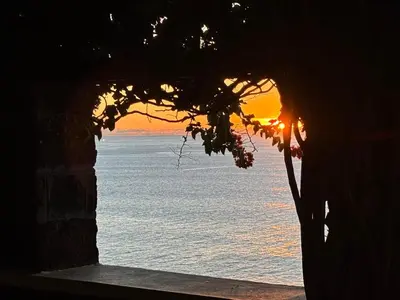 a view of the ocean from a window with a tree at Bela Vigia in Jardim do Mar