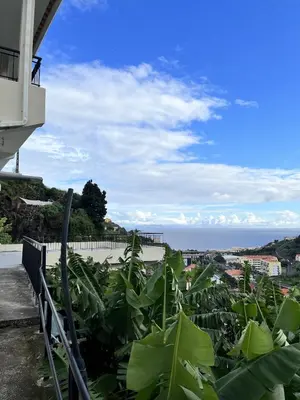a bunch of green plants in front of a building at Ribeira Roots Residence in Santa Cruz