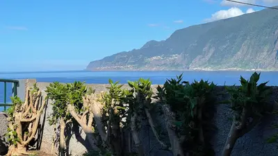 a row of plants on a beach with the ocean at Casas das Hortas, Apartamento Vista Serra e Mar in Seixal