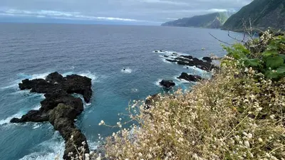 a group of people swimming in the water on a cliff at Casas das Hortas, Apartamento Vista Serra e Mar in Seixal